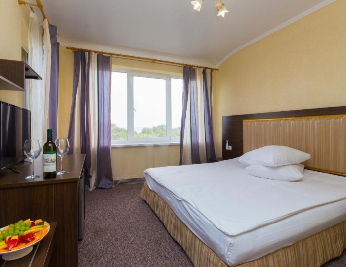 Стандарт 2-местный 1-комнатный без балкона с видом на горы  корпус А (8 этаж) - Отель Napra Hotel & Spa / Напра Цандрипш